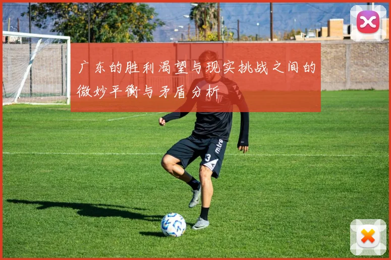 广东的胜利渴望与现实挑战之间的微妙平衡与矛盾分析
