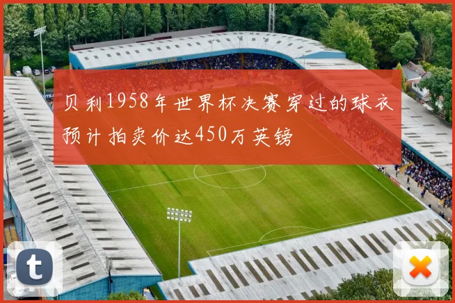 贝利1958年世界杯决赛穿过的球衣预计拍卖价达450万英镑