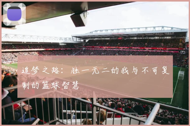 追梦之路:独一无二的我与不可复制的篮球智慧