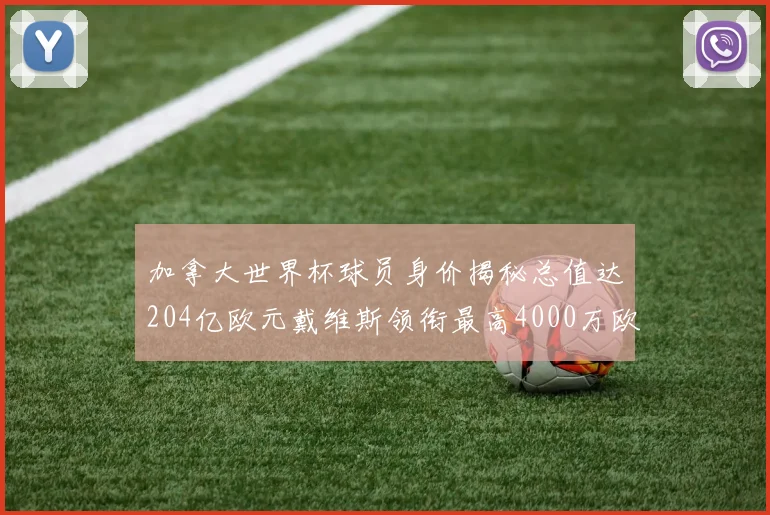 加拿大世界杯球员身价揭秘总值达204亿欧元戴维斯领衔最高4000万欧