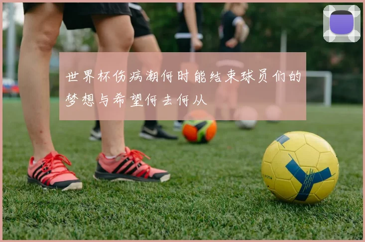世界杯伤病潮何时能结束球员们的梦想与希望何去何从