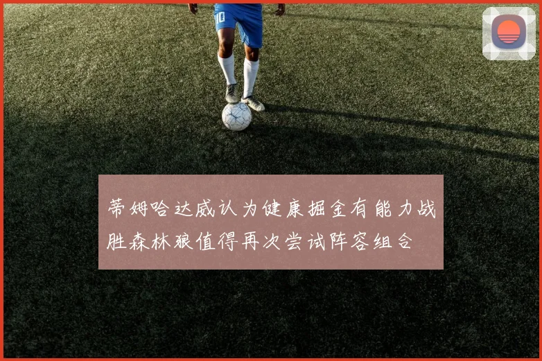 蒂姆哈达威认为健康掘金有能力战胜森林狼值得再次尝试阵容组合