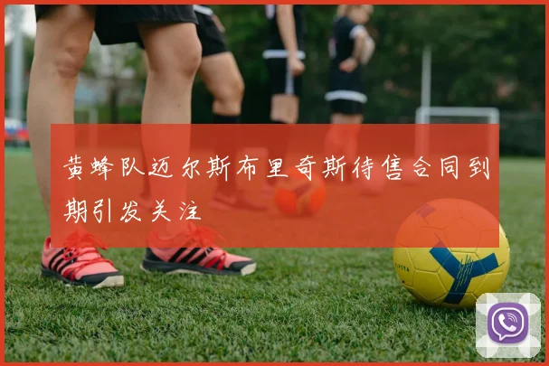 黄蜂队迈尔斯布里奇斯待售合同到期引发关注