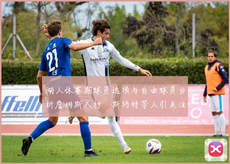湖人休赛期球员选项与自由球员分析詹姆斯八村塁斯玛特等人引关注