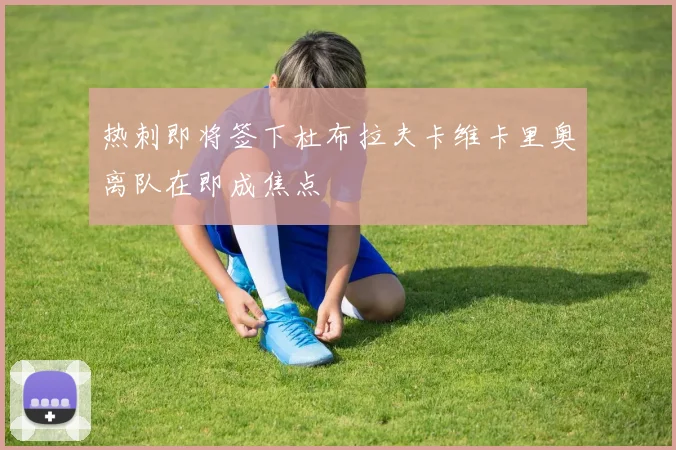 热刺即将签下杜布拉夫卡维卡里奥离队在即成焦点